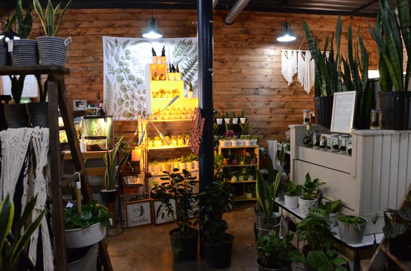 Petals By Peyton La Salle, IL