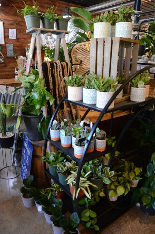 Petals By Peyton La Salle, IL